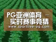 种植基地六(图1)