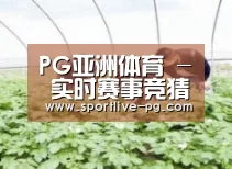 种植基地三
