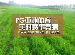种植基地四