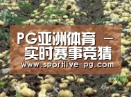 种植基地八(图1)
