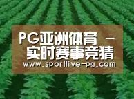 种植基地六