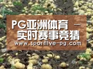 种植基地七