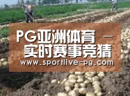种植基地八