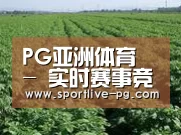 种植基地五(图1)