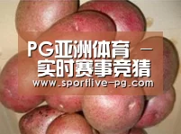 产品展示标题1