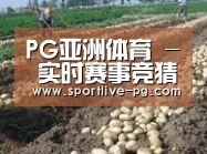 种植基地七(图1)