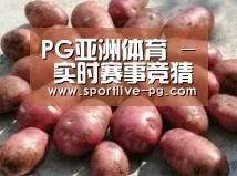 产品展示标题5(图1)