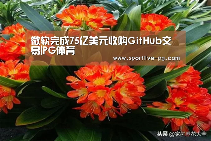 微软完成75亿美元收购GitHub交易|PG体育(图2) PG体育