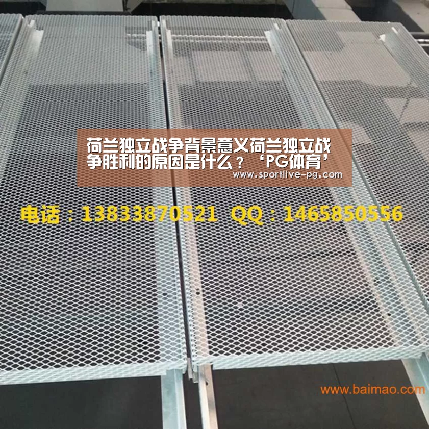 荷兰独立战争背景意义荷兰独立战争胜利的原因是什么?‘PG体育’(图1) PG电竞直播
