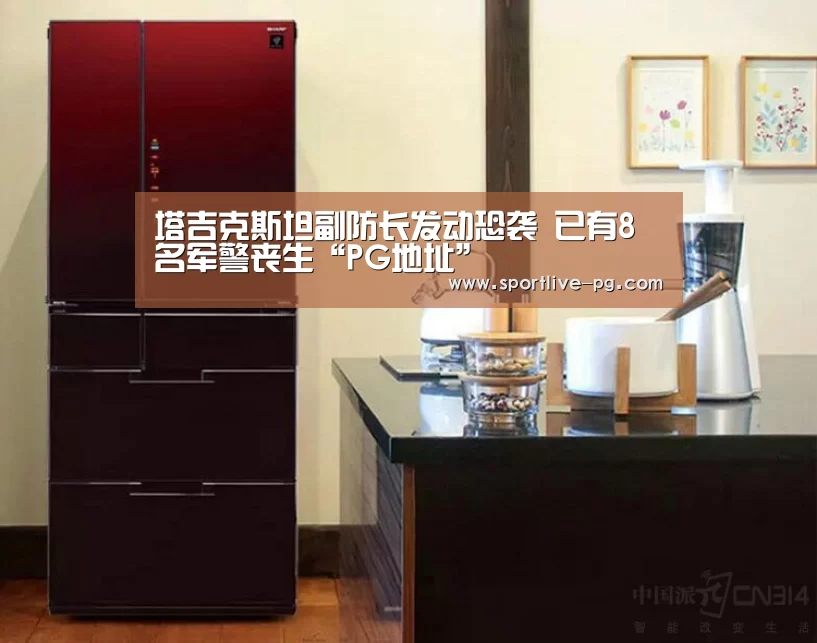 塔吉克斯坦副防长发动恐袭 已有8名军警丧生“PG地址”(图2) PG地址