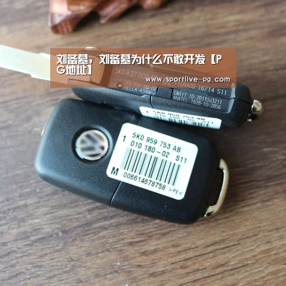 刘备墓,刘备墓为什么不敢开发【PG地址】(图2) PG官网