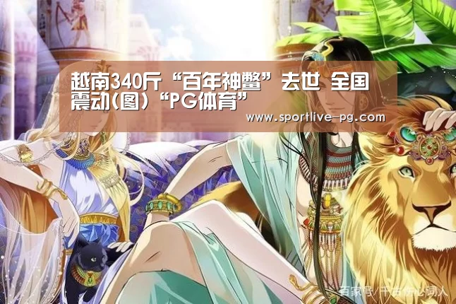 越南340斤“百年神鳖”去世 全国震动(图)“PG体育”(图1) PG电竞直播