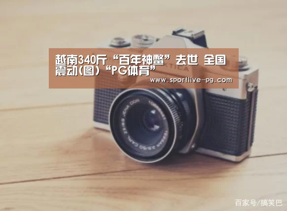越南340斤“百年神鳖”去世 全国震动(图)“PG体育”(图3) PG体育