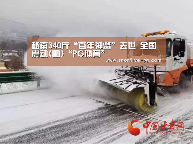 越南340斤“百年神鳖”去世 全国震动(图)“PG体育”(图2) PG地址