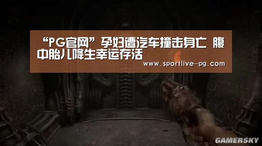 PG官网