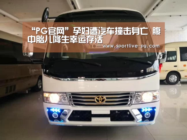 PG官网