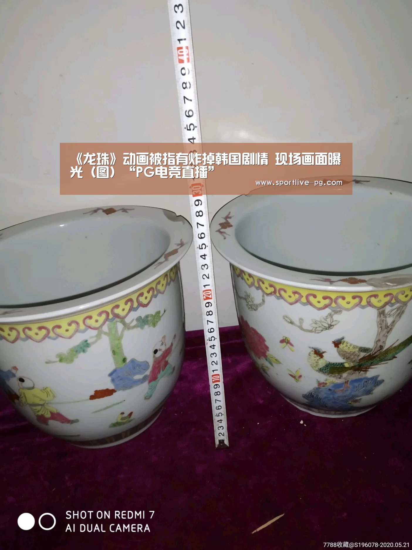 《龙珠》动画被指有炸掉韩国剧情 现场画面曝光(图)“PG电竞直播”(图1) PG官网