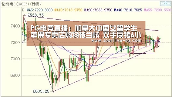 PG电竞直播:加拿大中国女留学生苹果专卖店购物被当贼 双手反铐6小时(图2) PG地址